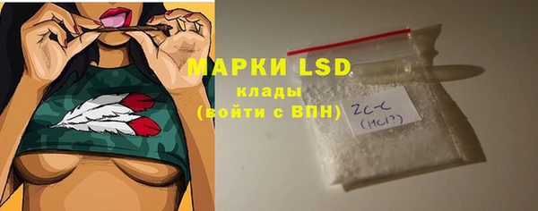 хмурый Алзамай