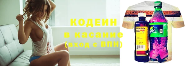 хмурый Алзамай