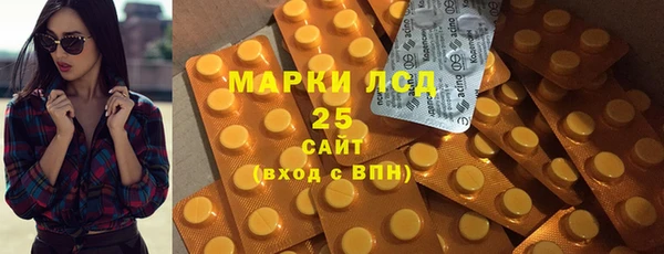 хмурый Алзамай